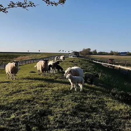 Semesterbostad Hus Sommerdiek Osterhever